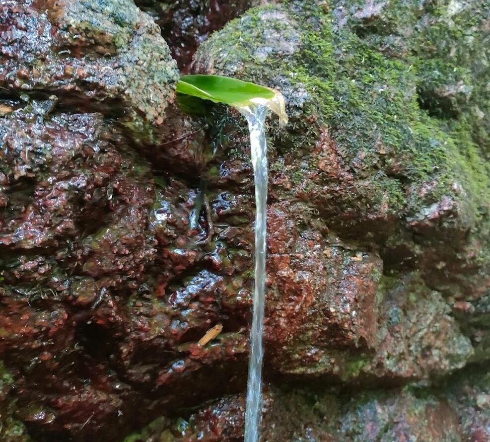 夏登山の水対策　冷水を維持する方法